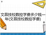 文昌技校数控学费多少钱一年(文昌技校数控学费)