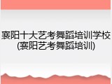 襄阳十大艺考舞蹈培训学校(襄阳艺考舞蹈培训)