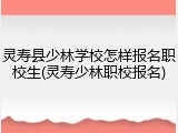 灵寿县少林学校怎样报名职校生(灵寿少林职校报名)