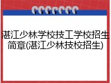 湛江少林学校技工学校招生简章(湛江少林技校招生)