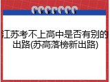 江苏考不上高中是否有别的出路(苏高落榜新出路)