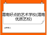渭南好点的艺术学校(渭南优质艺校)