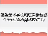 延鲁武术学校和塔沟武校哪个好(延鲁塔沟武校对比)