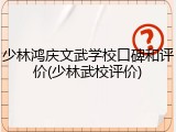 少林鸿庆文武学校口碑和评价(少林武校评价)