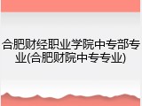 合肥财经职业学院中专部专业(合肥财院中专专业)