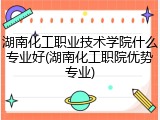 湖南化工职业技术学院什么专业好(湖南化工职院优势专业)