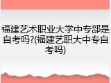 福建艺术职业大学中专部是自考吗?(福建艺职大中专自考吗)
