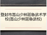 登封市嵩山少林延鲁武术学校(嵩山少林延鲁武校)