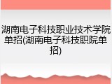 湖南电子科技职业技术学院单招(湖南电子科技职院单招)