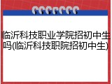 临沂科技职业学院招初中生吗(临沂科技职院招初中生)