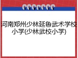 河南郑州少林延鲁武术学校小学(少林武校小学)