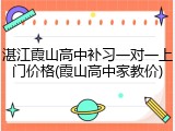 湛江霞山高中补习一对一上门价格(霞山高中家教价)