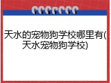天水的宠物狗学校哪里有(天水宠物狗学校)
