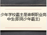少年学校霸主是谁啊职业高中生(职高少年霸主)