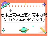 考不上高中上艺术高中好吗女生(艺术高中适合女生)