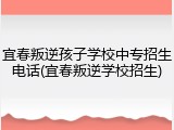 宜春叛逆孩子学校中专招生电话(宜春叛逆学校招生)