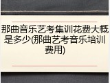 那曲音乐艺考集训花费大概是多少(那曲艺考音乐培训费用)