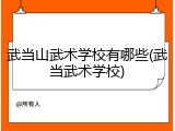 武当山武术学校有哪些(武当武术学校)