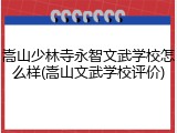 嵩山少林寺永智文武学校怎么样(嵩山文武学校评价)