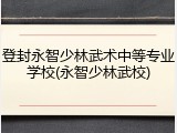 登封永智少林武术中等专业学校(永智少林武校)