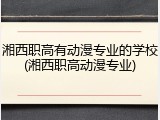 湘西职高有动漫专业的学校(湘西职高动漫专业)