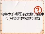 乌鲁木齐哪里有宠物训练中心(乌鲁木齐宠物训练)