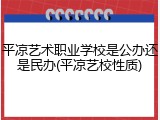 平凉艺术职业学校是公办还是民办(平凉艺校性质)