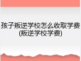 孩子叛逆学校怎么收取学费(叛逆学校学费)