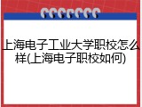 上海电子工业大学职校怎么样(上海电子职校如何)