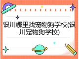 银川哪里找宠物狗学校(银川宠物狗学校)
