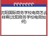 沈阳国际商务学校电商怎么样啊(沈阳商务学校电商如何)