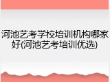 河池艺考学校培训机构哪家好(河池艺考培训优选)