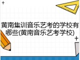 黄南集训音乐艺考的学校有哪些(黄南音乐艺考学校)