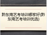 黔东南艺考培训哪家好(黔东南艺考培训优选)
