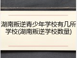 湖南叛逆青少年学校有几所学校(湖南叛逆学校数量)