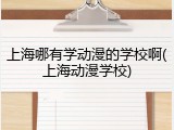 上海哪有学动漫的学校啊(上海动漫学校)