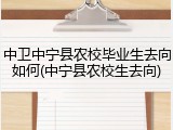 中卫中宁县农校毕业生去向如何(中宁县农校生去向)