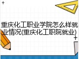 重庆化工职业学院怎么样就业情况(重庆化工职院就业)