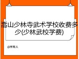 嵩山少林寺武术学校收费多少(少林武校学费)