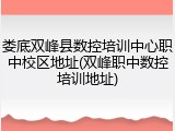 娄底双峰县数控培训中心职中校区地址(双峰职中数控培训地址)