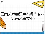 云南艺术类职中有哪些专业(云南艺职专业)