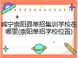 咸宁崇阳县单招集训学校在哪里(崇阳单招学校位置)