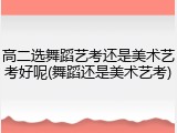 高二选舞蹈艺考还是美术艺考好呢(舞蹈还是美术艺考)