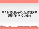 阜阳训狗的学校在哪里(阜阳训狗学校地址)