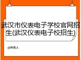 武汉市仪表电子学校官网招生(武汉仪表电子校招生)