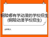 铜陵哪有学动漫的学校招生(铜陵动漫学校招生)