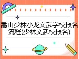 嵩山少林小龙文武学校报名流程(少林文武校报名)