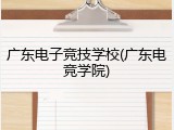 广东电子竞技学校(广东电竞学院)