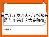 东莞电子商务大专学校都有哪些(东莞电商大专院校)