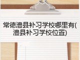 常德澧县补习学校哪里有(澧县补习学校位置)